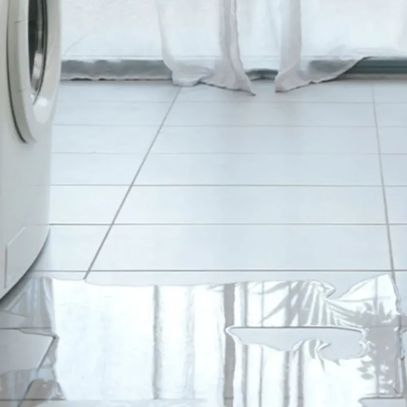 Appliance Leak Cleanup in Hamilton County, KS