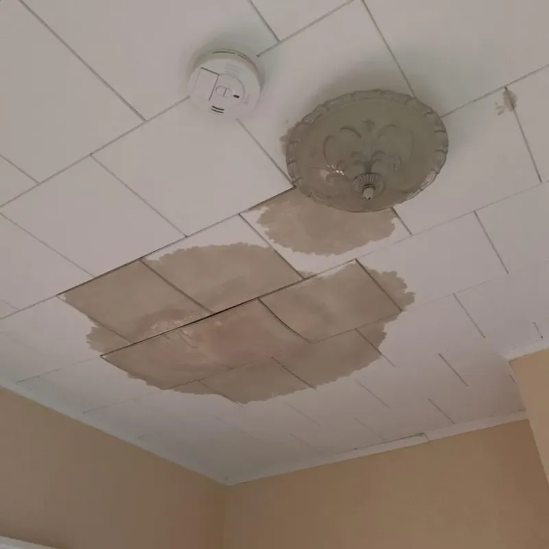 Ceiling Water Damage Repair in Hamilton County, KS