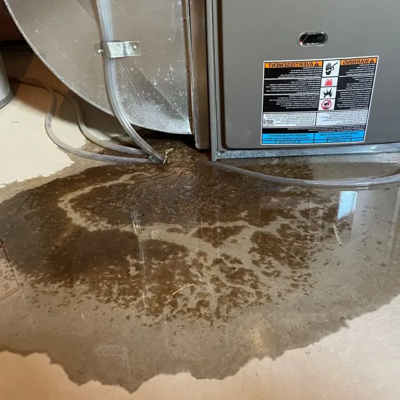 Pipe Burst and Leak Restoration in Hamilton County, KS