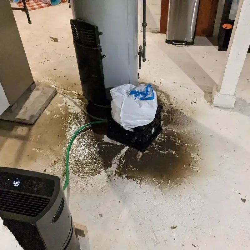 Sewage Backup Cleanup Service in Hamilton County, KS